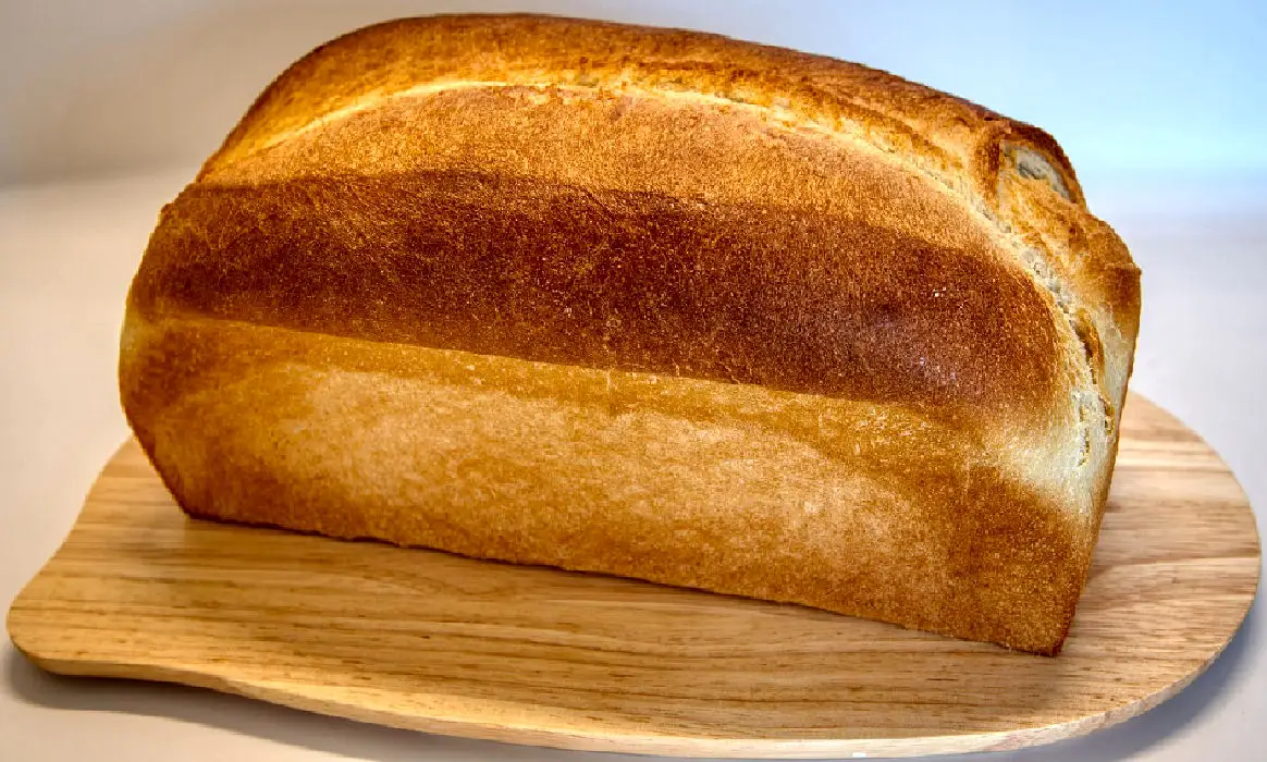 Eine KI so dumm wie Toastbrot